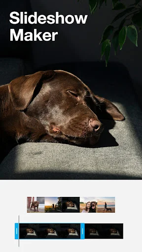 Download Vimeo Create Terbaru – Aplikasi Edit Video Praktis - Screenshot 15