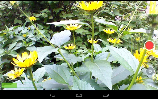 Download Larix Broadcaster Terbaru – Live Streaming Android Pro - Screenshot 3
