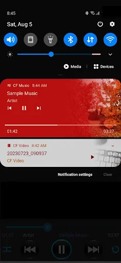 Music Player: Folder Music+ Terbaru – Pemutar Musik Folder Gratis - Screenshot 8