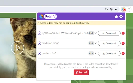 FetchV Video Downloader – Download M3U8 & HLS Video Mudah - Screenshot 1