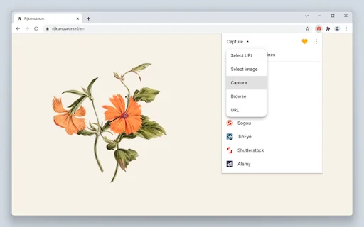 Search by Image: Alat Pencarian Gambar Terbalik Terbaik - Screenshot 3