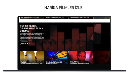 Download MUBI: Curated Cinema Terbaru – Film Indie Terbaik - Screenshot 13