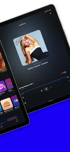Download SiriusXM Terbaru – Streaming Musik & Radio Online - Screenshot 10