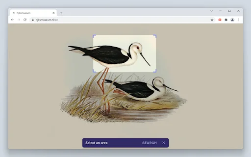 Search by Image: Alat Pencarian Gambar Terbalik Terbaik - Screenshot 4
