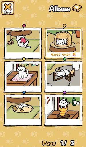 Download Neko Atsume: Kitty Collector Terbaru – Game Kucing Lucu - Screenshot 4