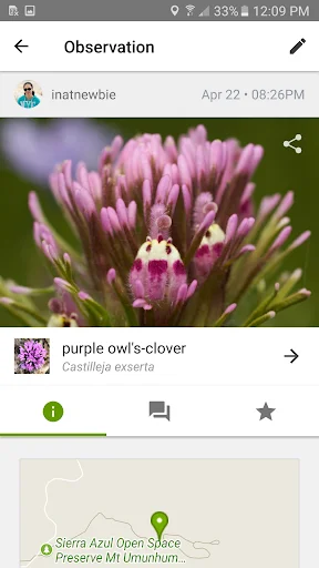 Unduh iNaturalist Versi Terbaru – Identifikasi Tanaman & Hewan - Screenshot 1