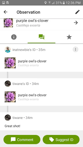 Unduh iNaturalist Versi Terbaru – Identifikasi Tanaman & Hewan - Screenshot 4