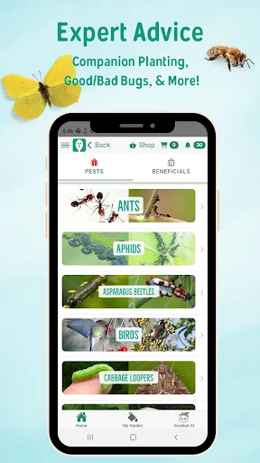 Download Seed to Spoon Terbaru – Panduan Berkebun Praktis - Screenshot 7