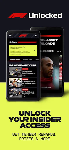 Download Formula 1® Terbaru – Berita F1 & Statistik Resmi - Screenshot 8