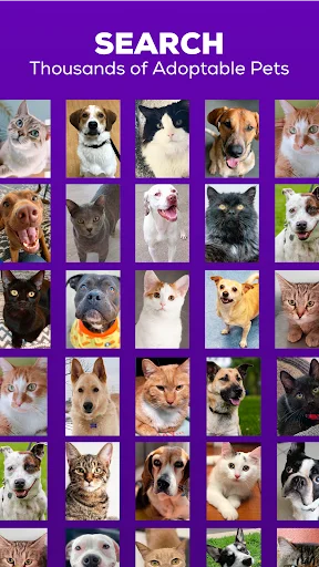 Download Petfinder – Adopt a Pet Terbaru – Temukan Teman Berbulu - Screenshot 1