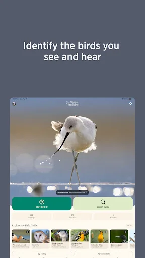 Download Audubon Bird Guide Terbaru – Identifikasi Burung Gratis - Screenshot 13