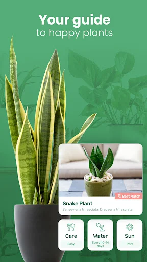 Download Blossom – Identifikasi Tanaman & Tips Perawatan Gratis - Screenshot 2