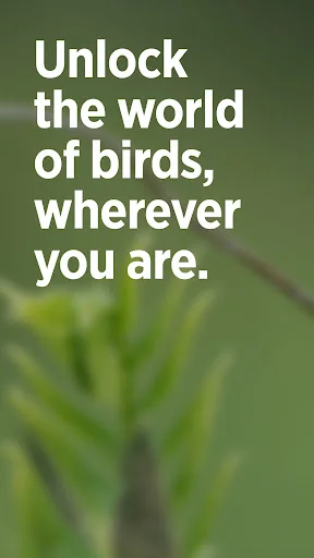 Download Audubon Bird Guide Terbaru – Identifikasi Burung Gratis - Screenshot 1