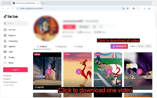 Short Video Downloader – Download Video Tanpa Watermark Gratis - Screenshot 4