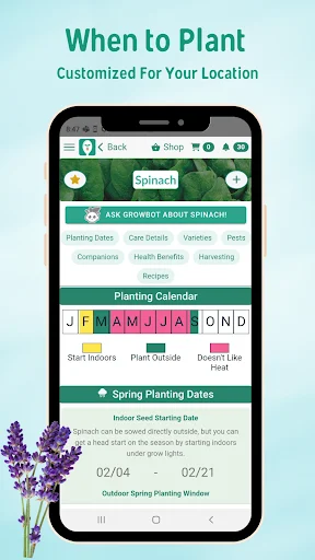 Download Seed to Spoon Terbaru – Panduan Berkebun Praktis - Screenshot 5