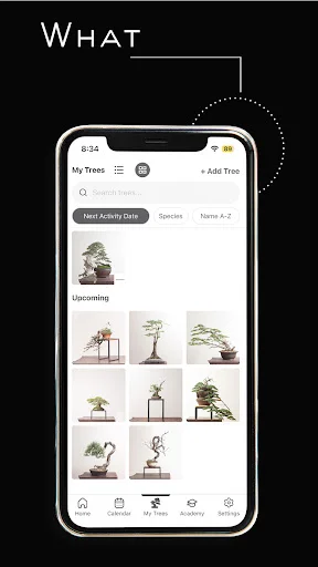 Download Mirai Mobile Terbaru – Panduan Bonsai Profesional - Screenshot 8